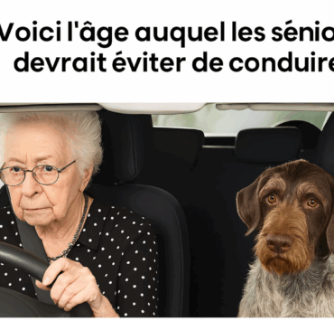 Seniors au volant : quand faut-il envisager de passer le relais? 2 Seniors au volant : quand faut-il envisager de passer le relais? Capture decran 2025 08 31 104205 Seniors au volant : quand faut-il envisager de passer le relais?