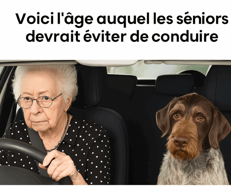 Capture decran 2025 08 31 104205 Seniors au volant : quand faut-il envisager de passer le relais?