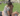 Capture decran le 2025 08 18 a 08.50.38 e1755521482637 Un couple adoré des fans confirme sa rupture