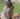 Capture decran le 2025 08 18 a 08.50.38 e1755521482637 Un couple adoré des fans confirme sa rupture