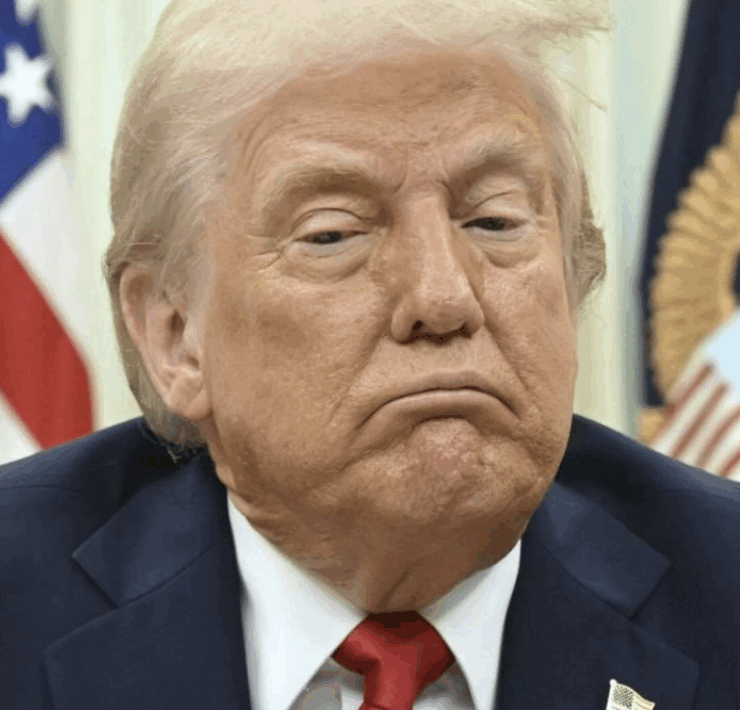 Capture decran le 2025 08 26 a 09.39.08 Des images r&eacute;centes de la main de Donald Trump suscitent de vives r&eacute;actions