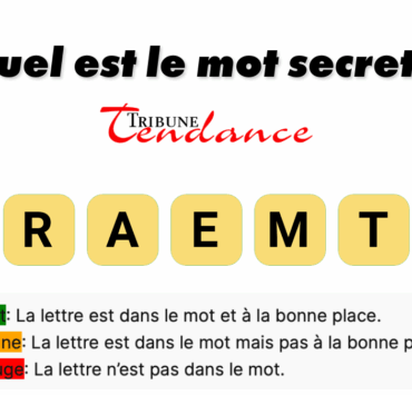game virale image hamster 4 Défi: Mot de 7 Lettres en 120 Secondes