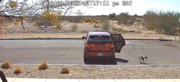 Une caméra filme un conducteur abandonnant lâchement son chiot en lui disant « bye bye » 1 Une caméra filme un conducteur abandonnant lâchement son chiot en lui disant « bye bye » Capture decran 2025 09 08 062022 1 Une caméra filme un conducteur abandonnant lâchement son chiot en lui disant « bye bye »