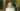 Capture decran 2025 09 13 024347 En arrêt maladie depuis 16 ans, elle touchait toujours… 6000 € par mois