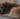Capture decran 2025 09 19 051733 Un individu torture un chien à mort et lui enfonce un bâton dans le rectum