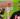 Capture decran 2025 09 27 121517 Comment ARRÊTER une attaque de chien en 3 secondes