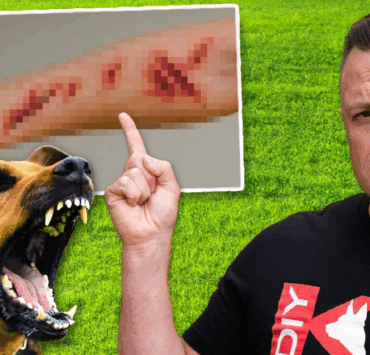 Comment ARRÊTER une attaque de chien en 3 secondes 2 Comment ARRÊTER une attaque de chien en 3 secondes Capture decran 2025 09 27 121517 Comment ARRÊTER une attaque de chien en 3 secondes
