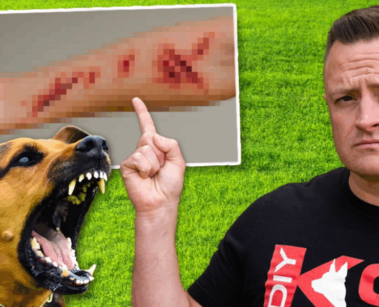 Capture decran 2025 09 27 121517 Comment ARRÊTER une attaque de chien en 3 secondes