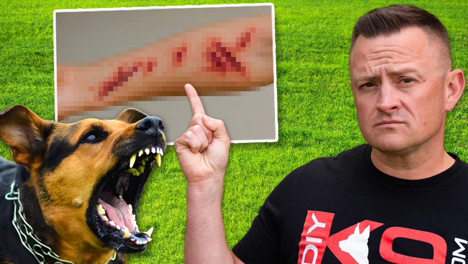 Comment ARRÊTER une attaque de chien en 3 secondes 1 Comment ARRÊTER une attaque de chien en 3 secondes Capture decran 2025 09 27 121517 Comment ARRÊTER une attaque de chien en 3 secondes