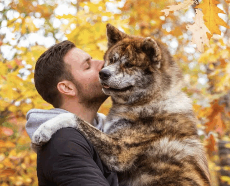Capture decran le 2025 09 17 a 17.23.35 e1758144255522 Sam Breton publie un texte déchirant après la perte de son chien