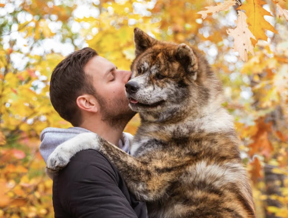 Sam Breton publie un texte déchirant après la perte de son chien 1 Sam Breton publie un texte déchirant après la perte de son chien Capture decran le 2025 09 17 a 17.23.35 e1758144255522 Sam Breton publie un texte déchirant après la perte de son chien
