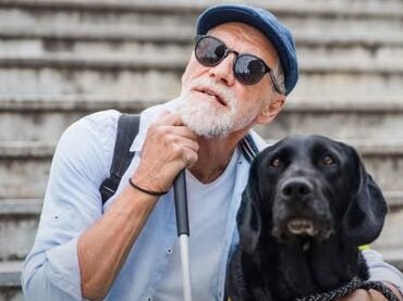 Il faisait semblant d’être aveugle depuis 53 ans... et touche 1 million d’euros ! 2 Il faisait semblant d’être aveugle depuis 53 ans... et touche 1 million d’euros ! CHIEN e1760757200235 Il faisait semblant d’être aveugle depuis 53 ans... et touche 1 million d’euros !