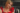 Capture decran 2025 10 02 081328 Rosalie Vaillancourt : un accident marquant… et un 2ᵉ bébé en vue ?