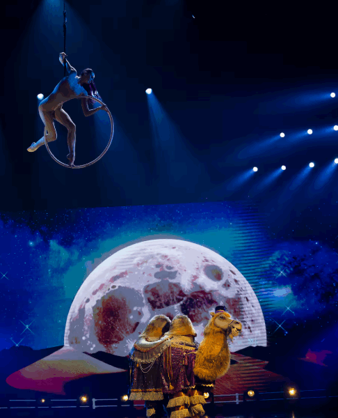 Capture decran 2025 10 06 093333 « Chanteurs masqués » : le duo culte de Bibi et Geneviève démasqué dans le costume du Chameau !