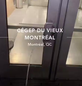 Un gars se filme en train de pisser un peu partout à Montréal 1 Un gars se filme en train de pisser un peu partout à Montréal Capture decran 2025 10 08 153954 Un gars se filme en train de pisser un peu partout à Montréal