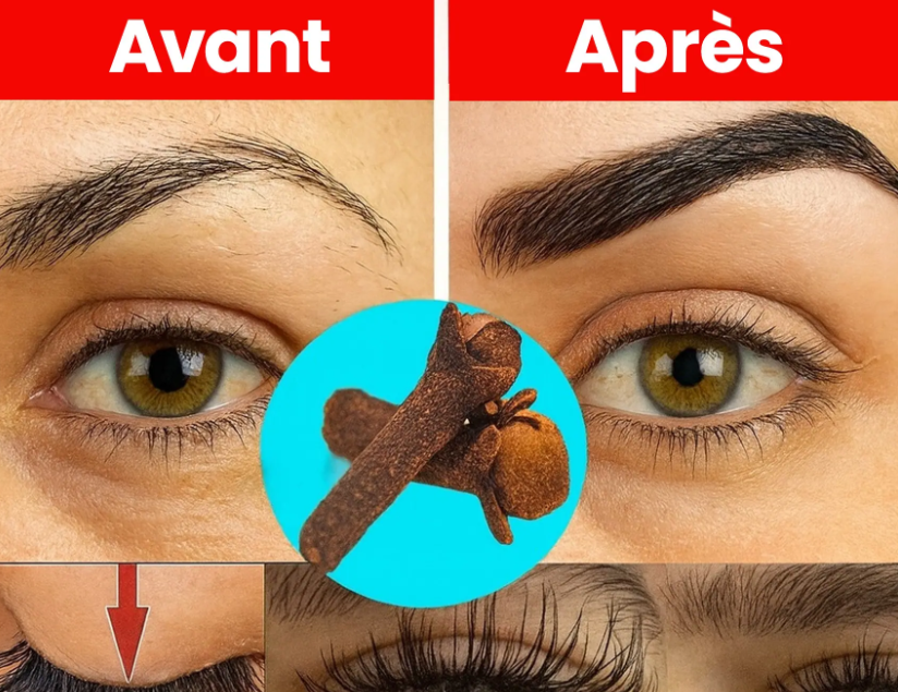 L’astuce beauté des grands-mères : des sourcils épais et des cils longs en seulement 7 jours grâce au clou de girofle ! 1 L’astuce beauté des grands-mères : des sourcils épais et des cils longs en seulement 7 jours grâce au clou de girofle ! Capture decran 2025 10 16 153643 L’astuce beauté des grands-mères : des sourcils épais et des cils longs en seulement 7 jours grâce au clou de girofle !