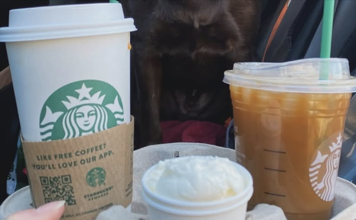 Capture decran le 2025 10 06 a 09.46.16 e1759758442842 Starbucks 8 huit succursales au Québec : voici les détails dévoilés