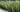 Capture decran 19 10 2025 05124 www.astucesantemag.com e1760849851992 Cette plante soigne des maladies inimaginables : une plante bien plus précieuse qu’il n’y paraît