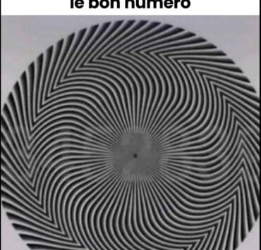 Capture decran 29 10 2025 16830 www.facebook.com Un chiffre mystère caché dans une illusion d’optique affole les internautes