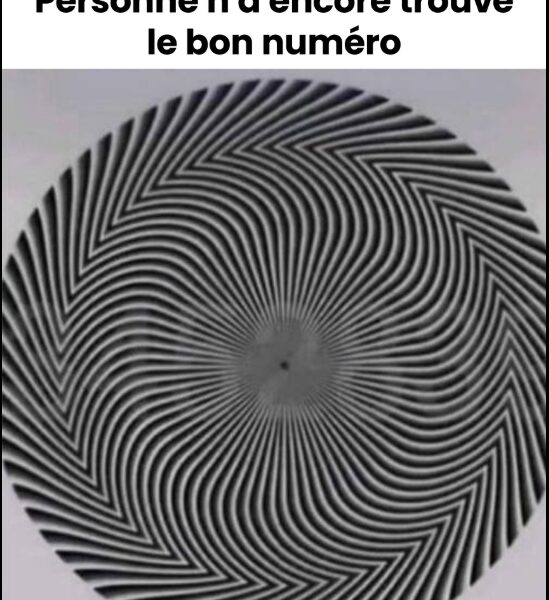 Capture decran 29 10 2025 16830 www.facebook.com Un chiffre mystère caché dans une illusion d’optique affole les internautes