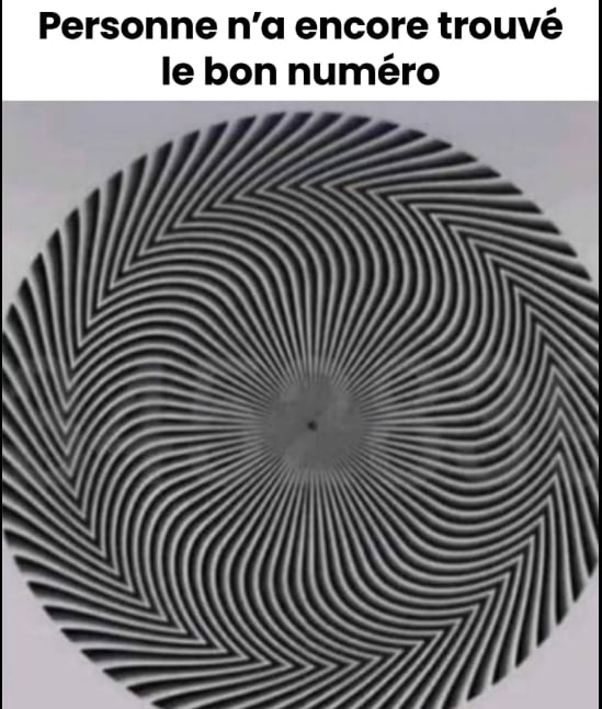 Capture decran 29 10 2025 16830 www.facebook.com Un chiffre mystère caché dans une illusion d’optique affole les internautes