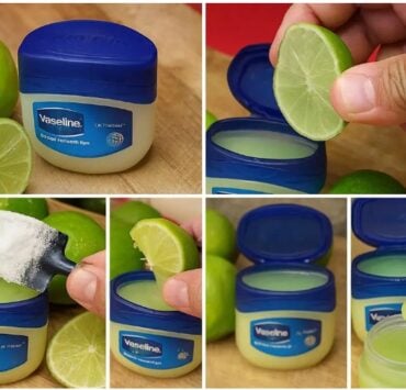 Cette astuce citron + vaseline change tout : découvrez comment l’utiliser sans danger 5 Cette astuce citron + vaseline change tout : découvrez comment l’utiliser sans danger Capture decran 31 10 2025 181641 www.astucesantemag.com Cette astuce citron + vaseline change tout : découvrez comment l’utiliser sans danger