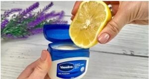 Cette astuce citron + vaseline change tout : découvrez comment l’utiliser sans danger 2 Cette astuce citron + vaseline change tout : découvrez comment l’utiliser sans danger Capture decran 31 10 2025 18170 www.astucesantemag.com Cette astuce citron + vaseline change tout : découvrez comment l’utiliser sans danger