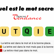 game virale image criquet 1 Défiez votre esprit: Mot de 7 lettres en 120s!