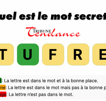 game virale image furet 3 Défi: Mot de 5 Lettres en 2 Minutes