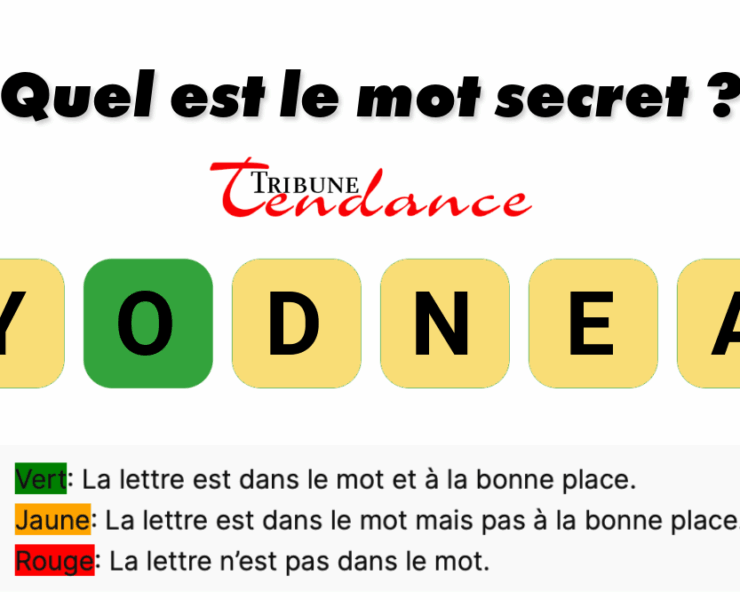 game virale image noyade 1 Défi: Mot de 6 Lettres en 2 Minutes