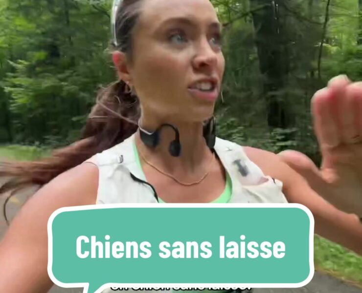 telecharger e1759849943516 Une Québécoise «pète sa coche» contre les chiens sans laisse : tensions, lois et enjeux du vivre-ensemble