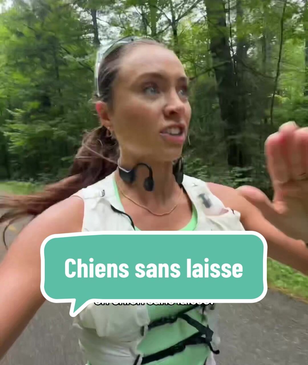 telecharger e1759849943516 Une Québécoise «pète sa coche» contre les chiens sans laisse : tensions, lois et enjeux du vivre-ensemble