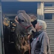 752e17b0 02ca 4b85 bfcd bfd88db45670 1200x1187 1 Sylvie Larochelle dévoile une histoire d’amour complice et touchante