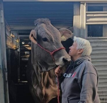 752e17b0 02ca 4b85 bfcd bfd88db45670 1200x1187 1 Sylvie Larochelle dévoile une histoire d’amour complice et touchante