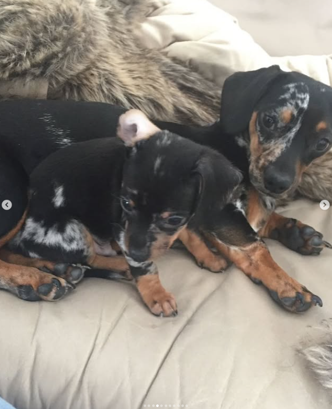 Immense tristesse pour Kevin Bazinet, gagnant de La Voix 5 Immense tristesse pour Kevin Bazinet, gagnant de La Voix Capture decran 2025 11 03 142202 Immense tristesse pour Kevin Bazinet, gagnant de La Voix