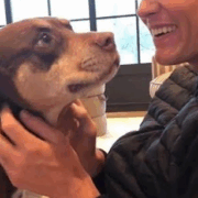 Capture decran 2025 11 07 174323 Cet athlète millionnaire a perdu son chien… puis l’a cloné !