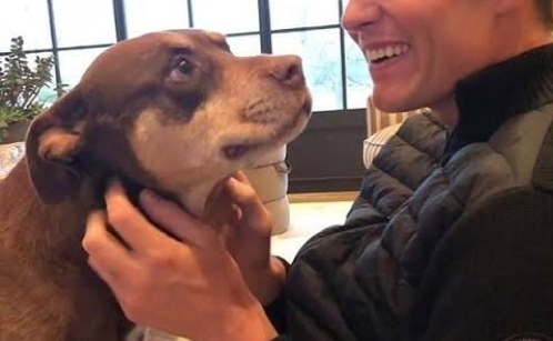 Cet athlète millionnaire a perdu son chien… puis l’a cloné ! 1 Cet athlète millionnaire a perdu son chien… puis l’a cloné ! Capture decran 2025 11 07 174323 Cet athlète millionnaire a perdu son chien… puis l’a cloné !