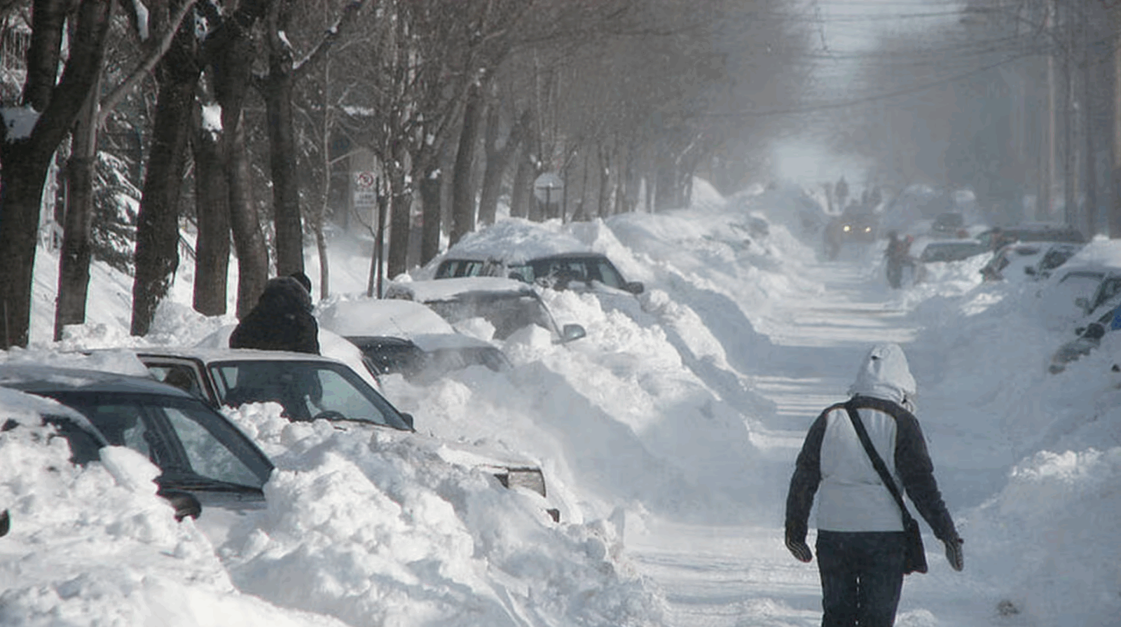 Un important système hivernal va frapper le Québec dans les prochaines heures 1 Un important système hivernal va frapper le Québec dans les prochaines heures Capture decran 2025 11 16 181431 Un important système hivernal va frapper le Québec dans les prochaines heures