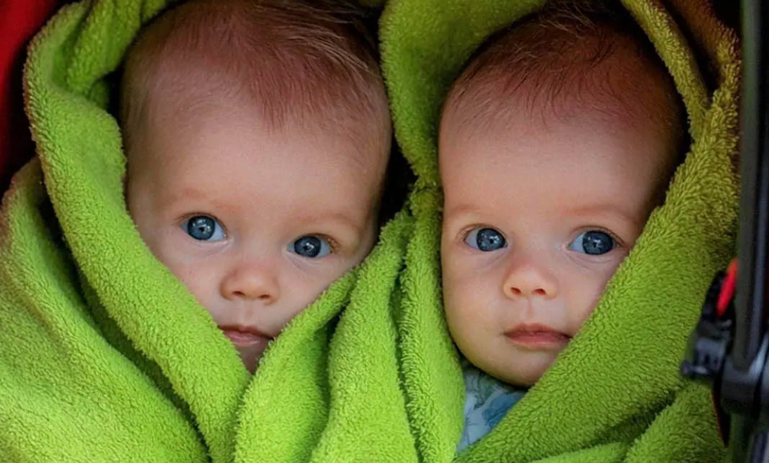 Capture decran 2025 11 18 160013 Copie Ma fille de 14 ans est rentrée à la maison avec deux nouveau-nés — dix ans plus tard, un héritage a révélé un secret bouleversant