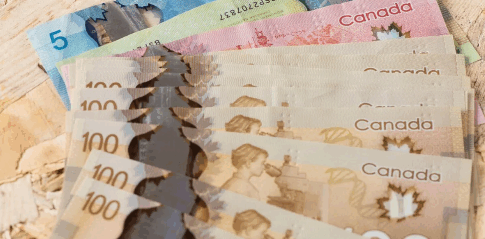 Capture decran 2025 11 18 215148 Allocation canadienne 2026 : voici les montants que pourraient recevoir les familles québécoises