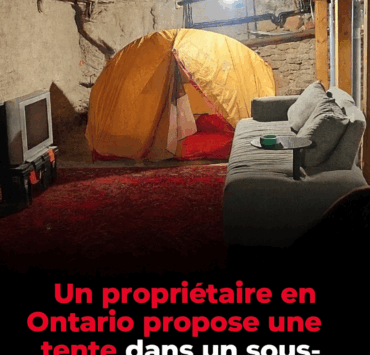 Capture decran le 2025 11 20 a 18.02.54 Un propriétaire en Ontario propose une tente dans un sous-sol pour 650$/215€ par mois, voir l'annonce!