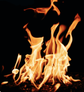 Capture decran le 2025 11 23 a 03.17.14 Astrologie : Votre signe révèle quel outil pour lire l’avenir vous convient le mieux