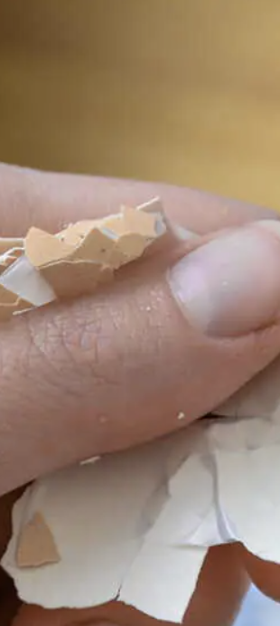 Le mystère du jaune d’œuf vert enfin expliqué (plus la méthode inratable) 2 Le mystère du jaune d’œuf vert enfin expliqué (plus la méthode inratable) Capture decran le 2025 11 23 a 23.30.17 Le mystère du jaune d’œuf vert enfin expliqué (plus la méthode inratable)