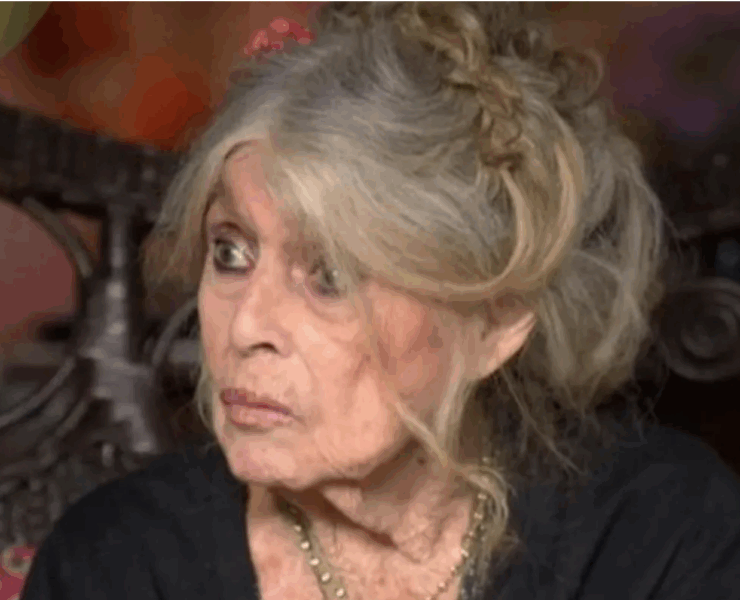 Capture decran le 2025 11 26 a 14.02.05 Brigitte Bardot traverse des moments difficiles : hospitalisée depuis plusieurs jours