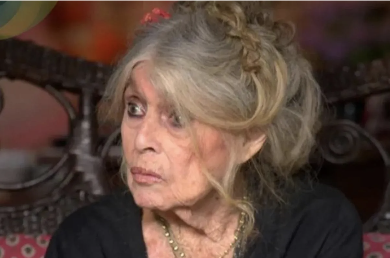 Capture decran le 2025 11 26 a 14.02.05 Brigitte Bardot traverse des moments difficiles : hospitalisée depuis plusieurs jours