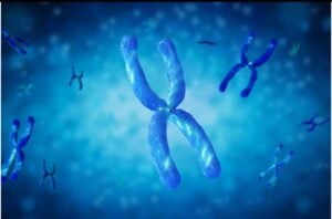 Capture decran 1 11 2025 133722 www.demotivateur.fr Des chercheurs japonais réussissent à retirer le chromosome responsable de la trisomie 21