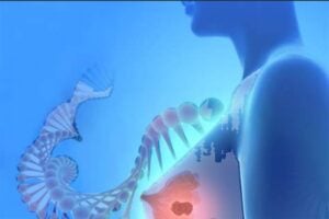 Capture decran 11 11 2025 215019 www.bing .com Le venin d’abeille détruit 100 % des cellules cancéreuses du sein les plus agressives en une heure