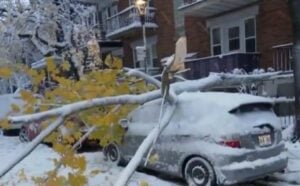 Capture decran 12 11 2025 205621 www.tvanouvelles.ca Bordée de neige et pannes de courant : voici les écoles qui fermeront leurs portes au Québec