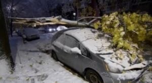 Capture decran 12 11 2025 205651 www.tvanouvelles.ca Bordée de neige et pannes de courant : voici les écoles qui fermeront leurs portes au Québec
