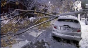 Capture decran 12 11 2025 205713 www.tvanouvelles.ca Bordée de neige et pannes de courant : voici les écoles qui fermeront leurs portes au Québec